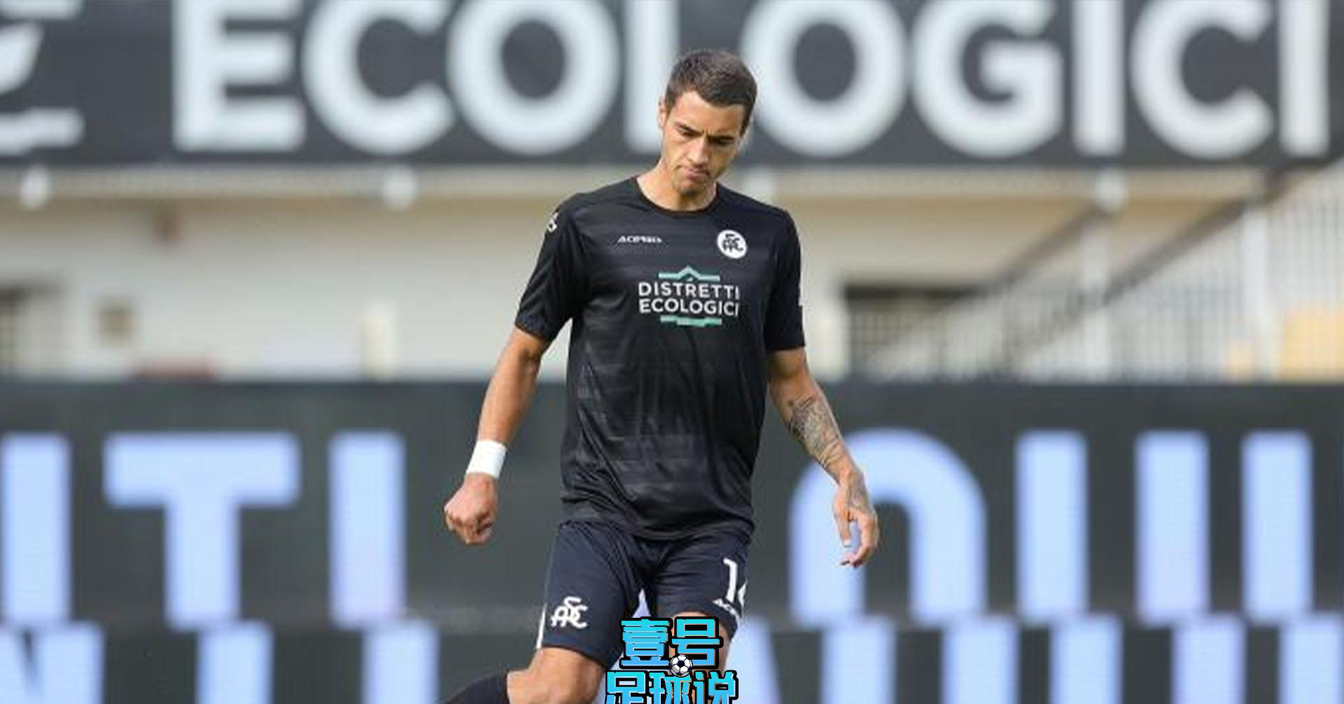 包含赛地聚焦——意甲转会期热度飙升，孟菲斯灰熊伤情更新，底气十足，阵容厚度经受考验的词条